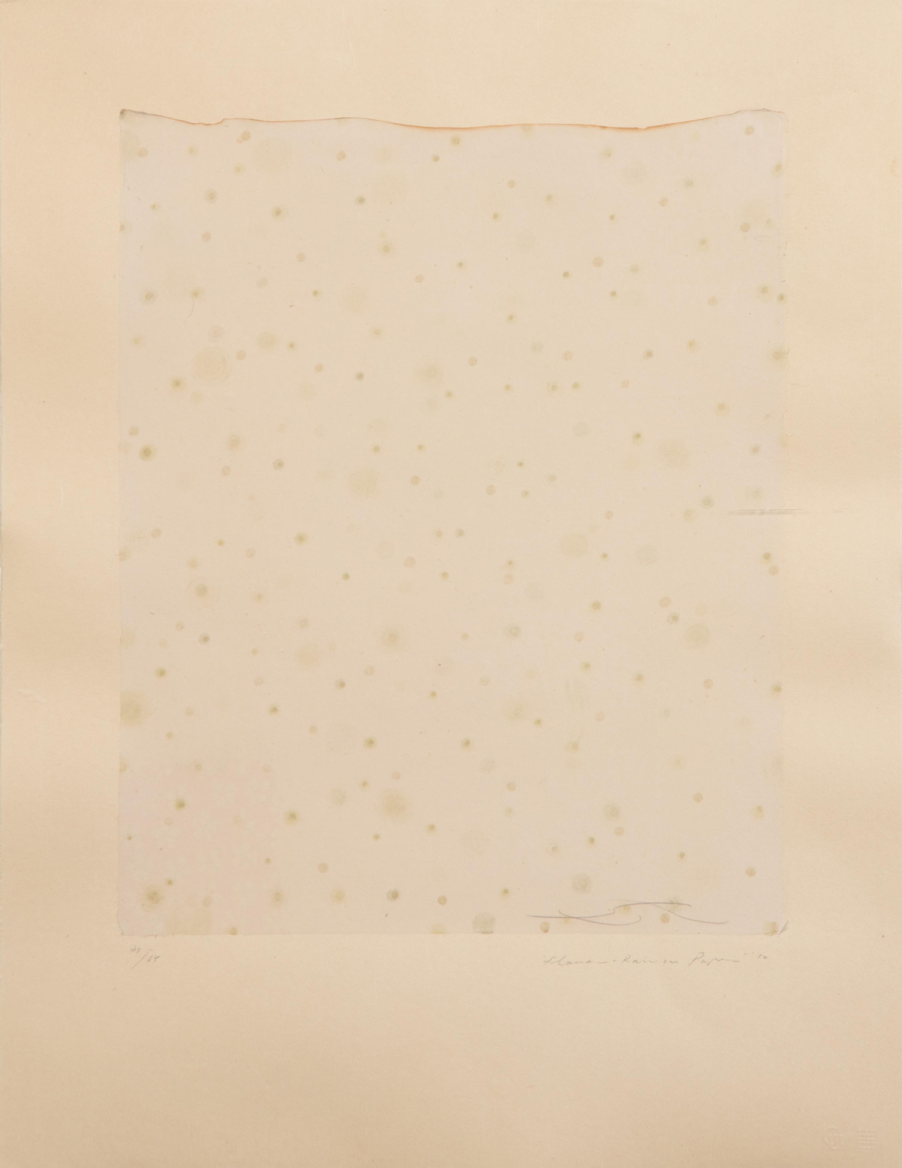 Flowers, Rain, Snow, and Wind - Rain on Paper