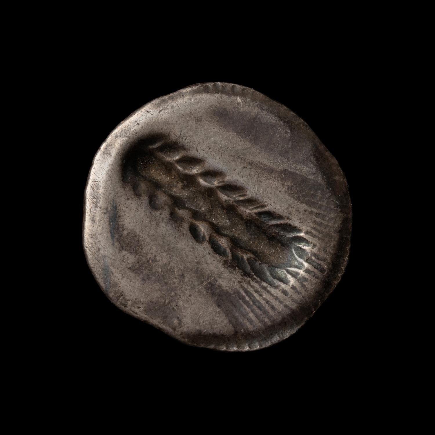 [ANCIENTS] LUCANIA. Metapontum (c. 530-510 BC). Ar Stater. (8.0 g, 22mm).