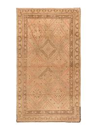 An East Turkestan Rug