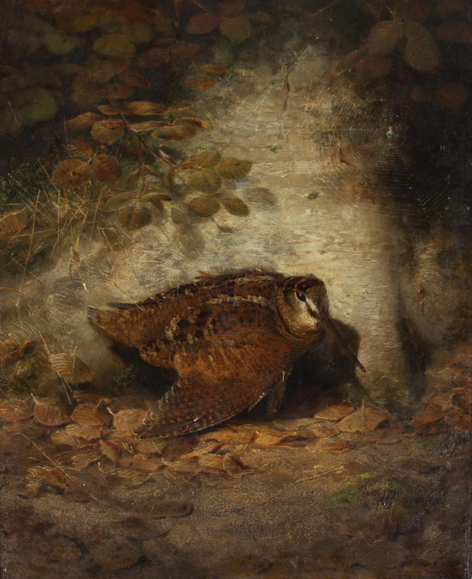 Joseph Wolf, (German, 1820-1899), Autumn--Wounded Woodcock, 1850