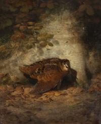 Joseph Wolf, (German, 1820-1899), Autumn--Wounded Woodcock, 1850