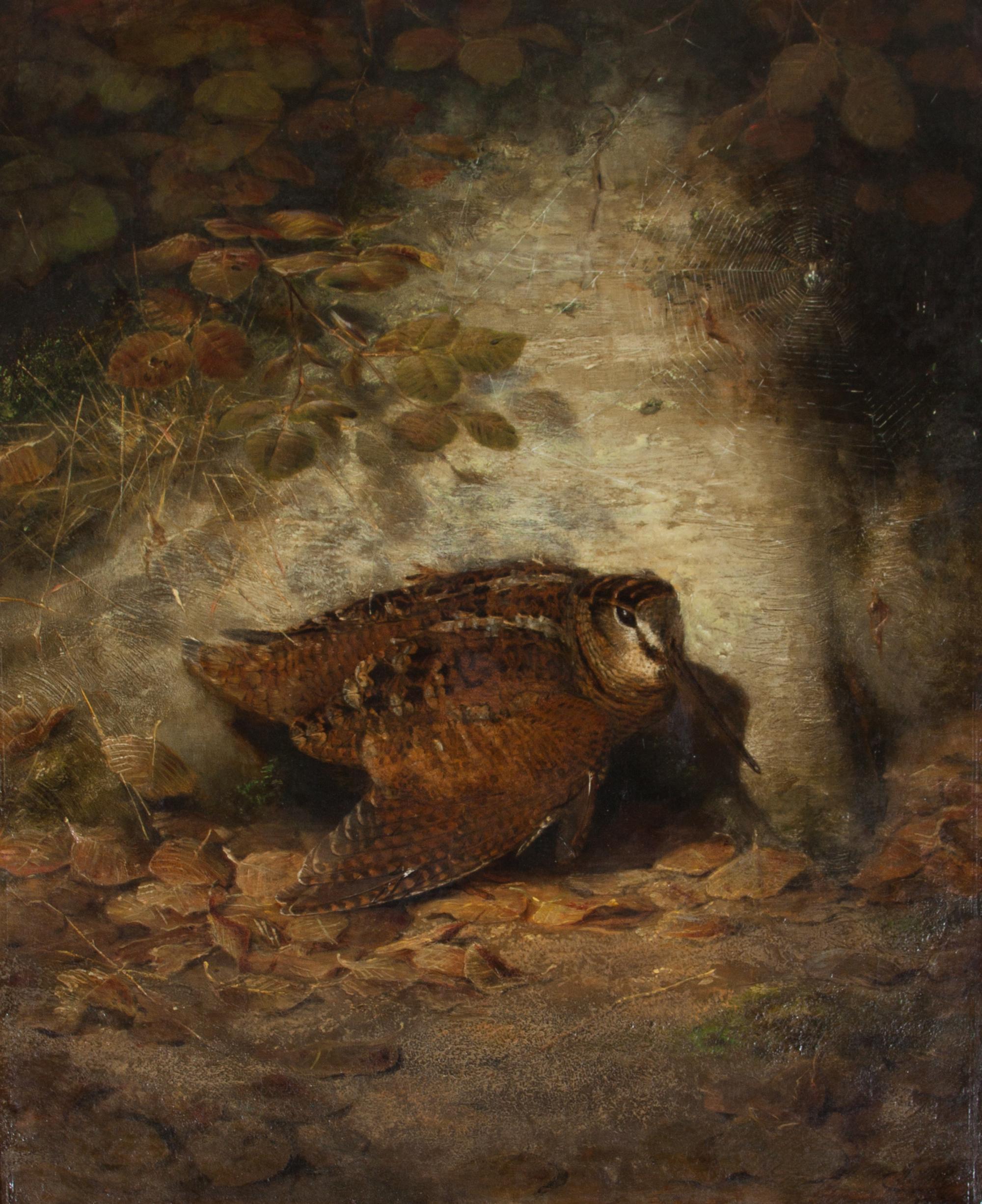 Joseph Wolf, (German, 1820-1899), Autumn--Wounded Woodcock, 1850