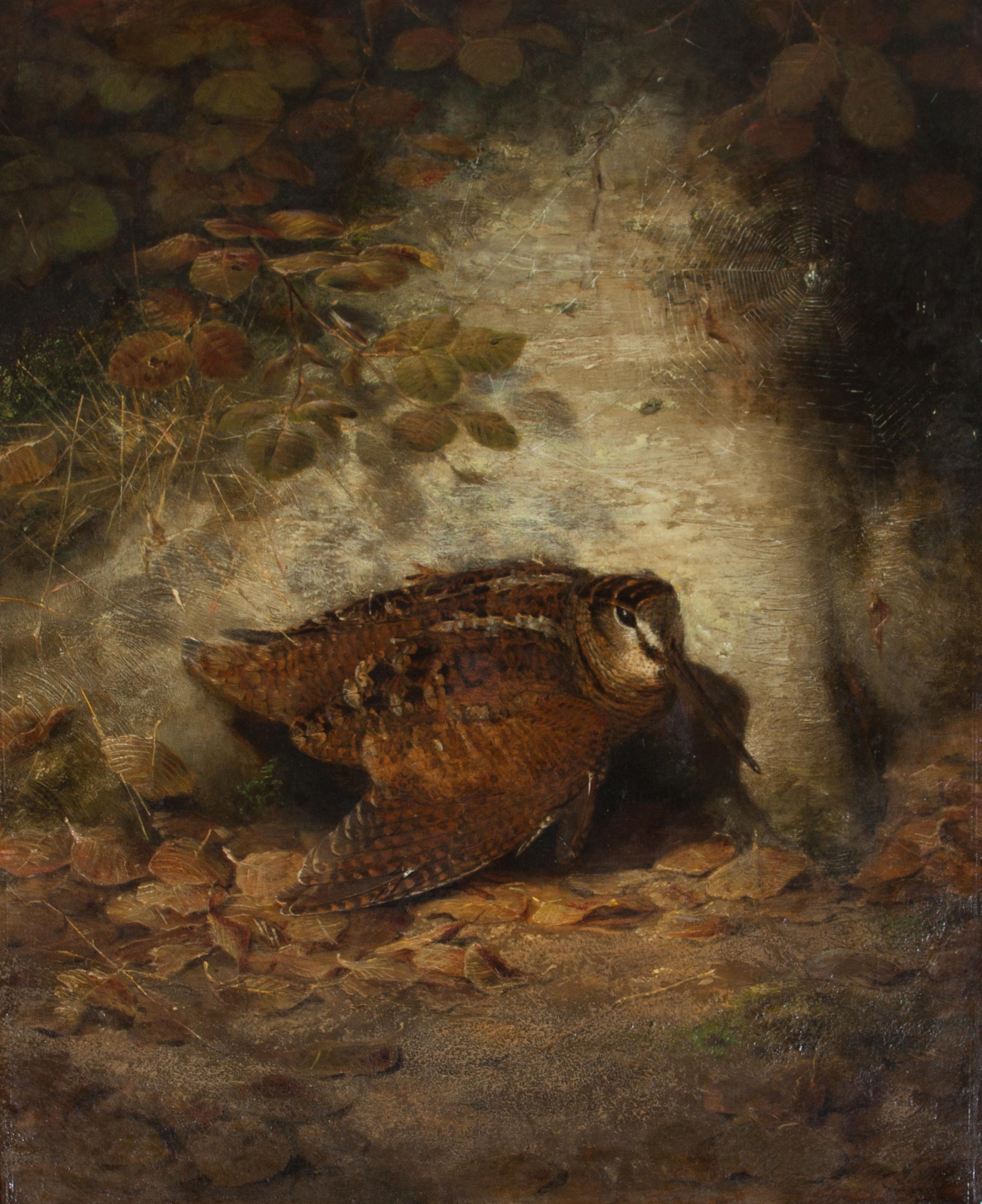 Joseph Wolf, (German, 1820-1899), Autumn--Wounded Woodcock, 1850