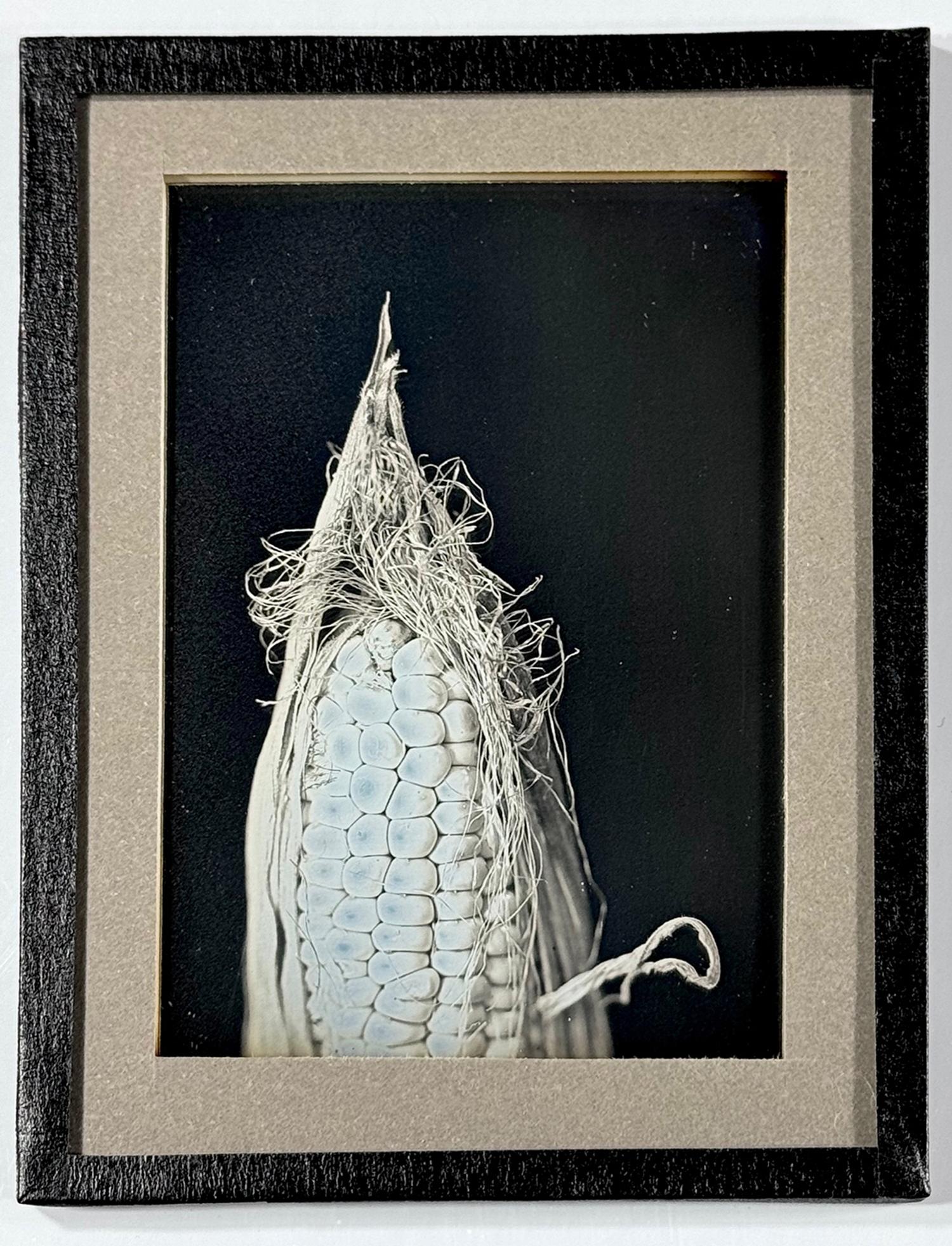 [Contemporary Daguerreotype by Orlov] For Irving Pobarovsky