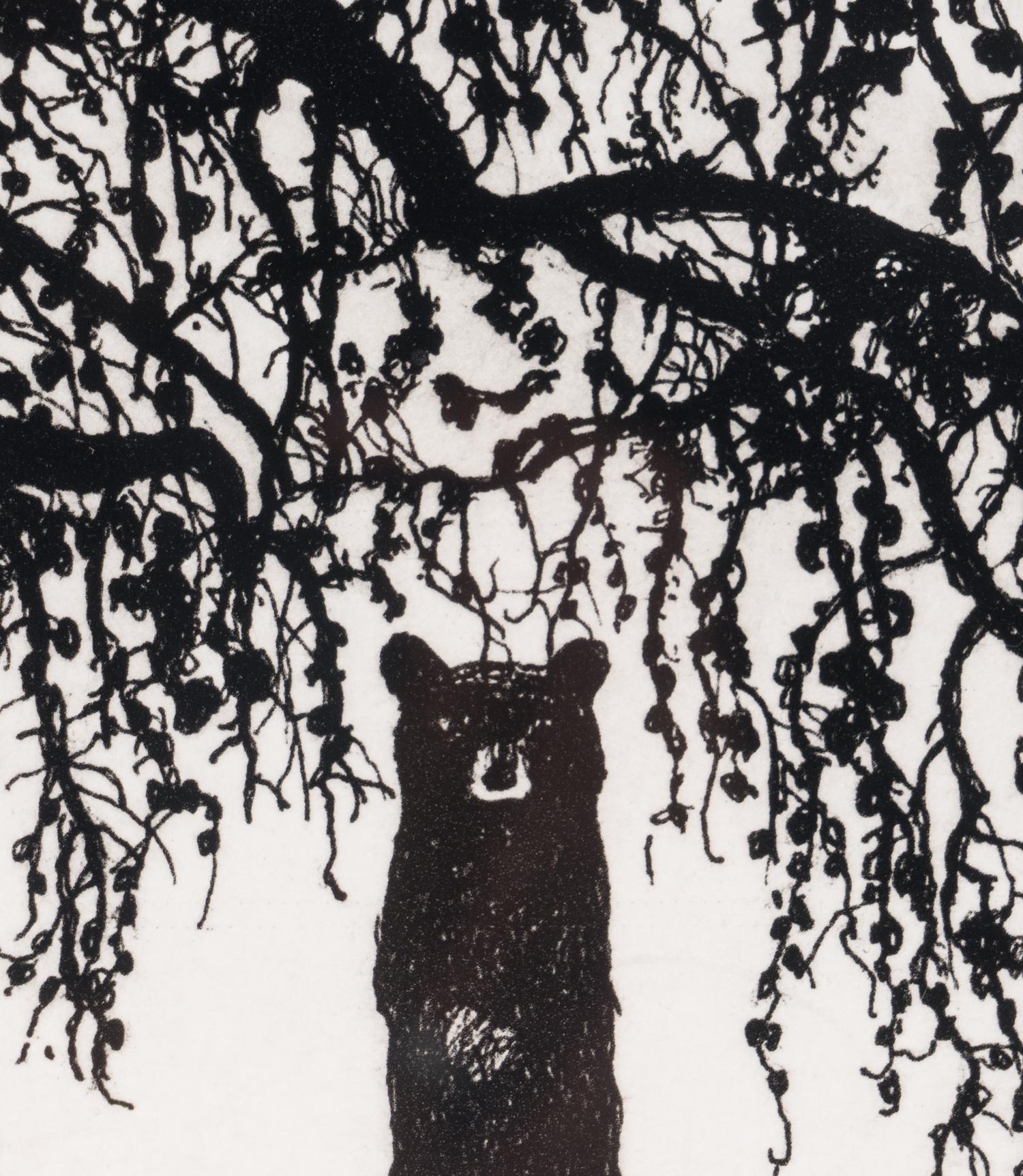 M.K.M. Bear