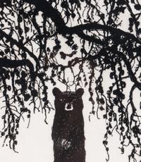 M.K.M. Bear