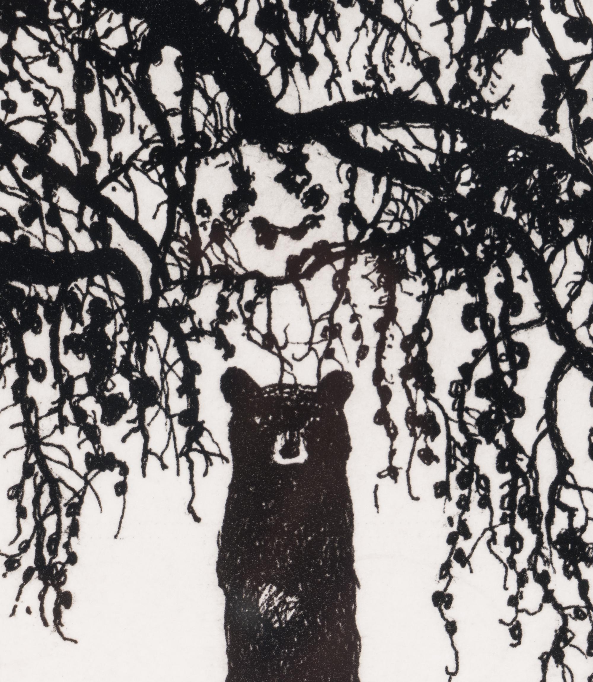 M.K.M. Bear