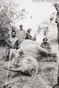 Peter Beard (1938-2020) Lariak Estate cattle-killer that went berserk and harmed 4 cows and a herd-boy, 1965