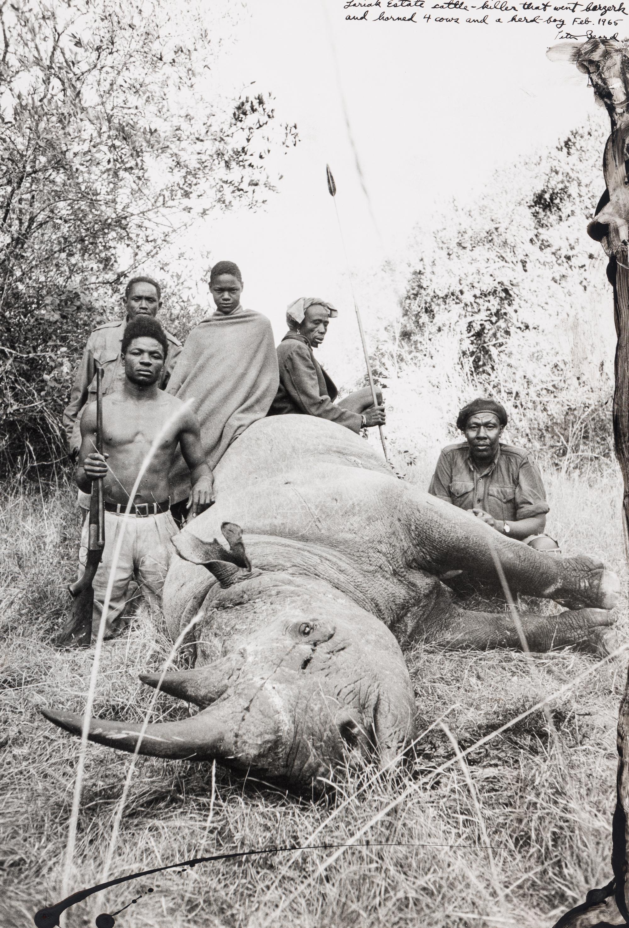 Peter Beard (1938-2020) Lariak Estate cattle-killer that went berserk and harmed 4 cows and a herd-boy, 1965