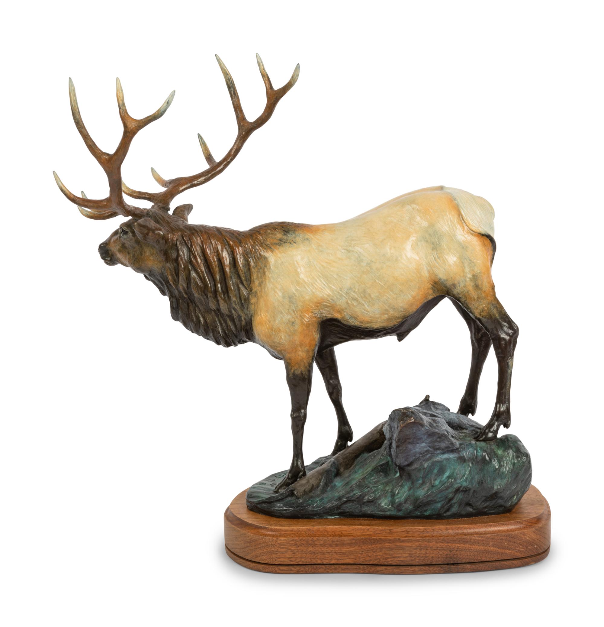 Wapiti, edition 20/27