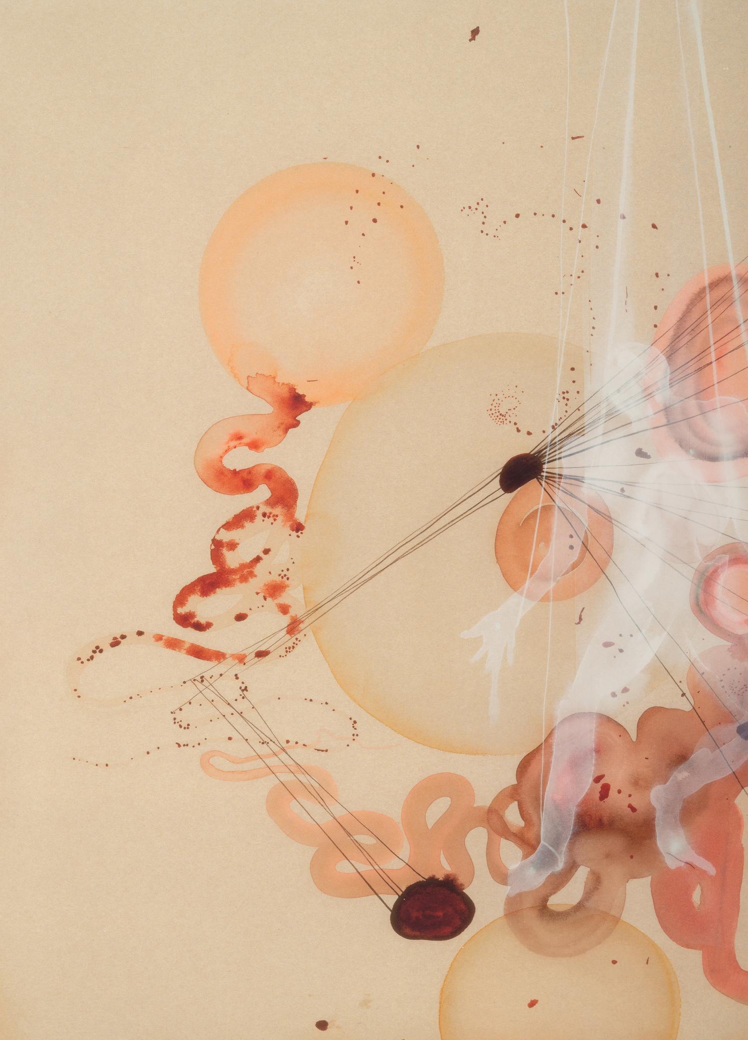 The Flowering (The Fourfold Sense), 2007 (complete portfolio of thirteen)