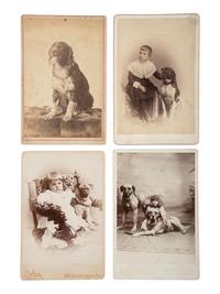 [EARLY PHOTOGRAPHY - ANIMALS]. An assorted group of 12 portraits featuring dogs and cats.