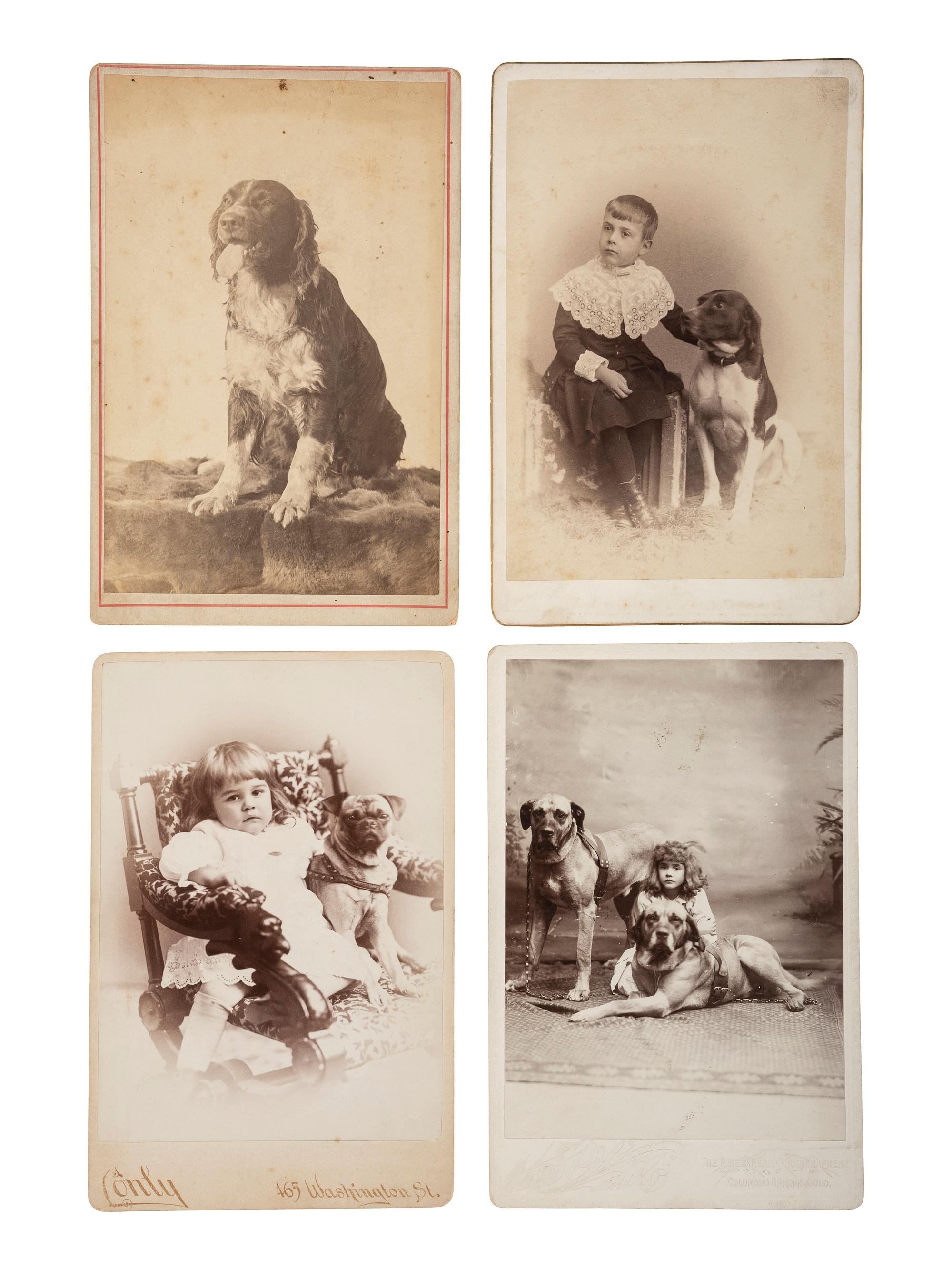 [EARLY PHOTOGRAPHY - ANIMALS]. An assorted group of 12 portraits featuring dogs and cats.