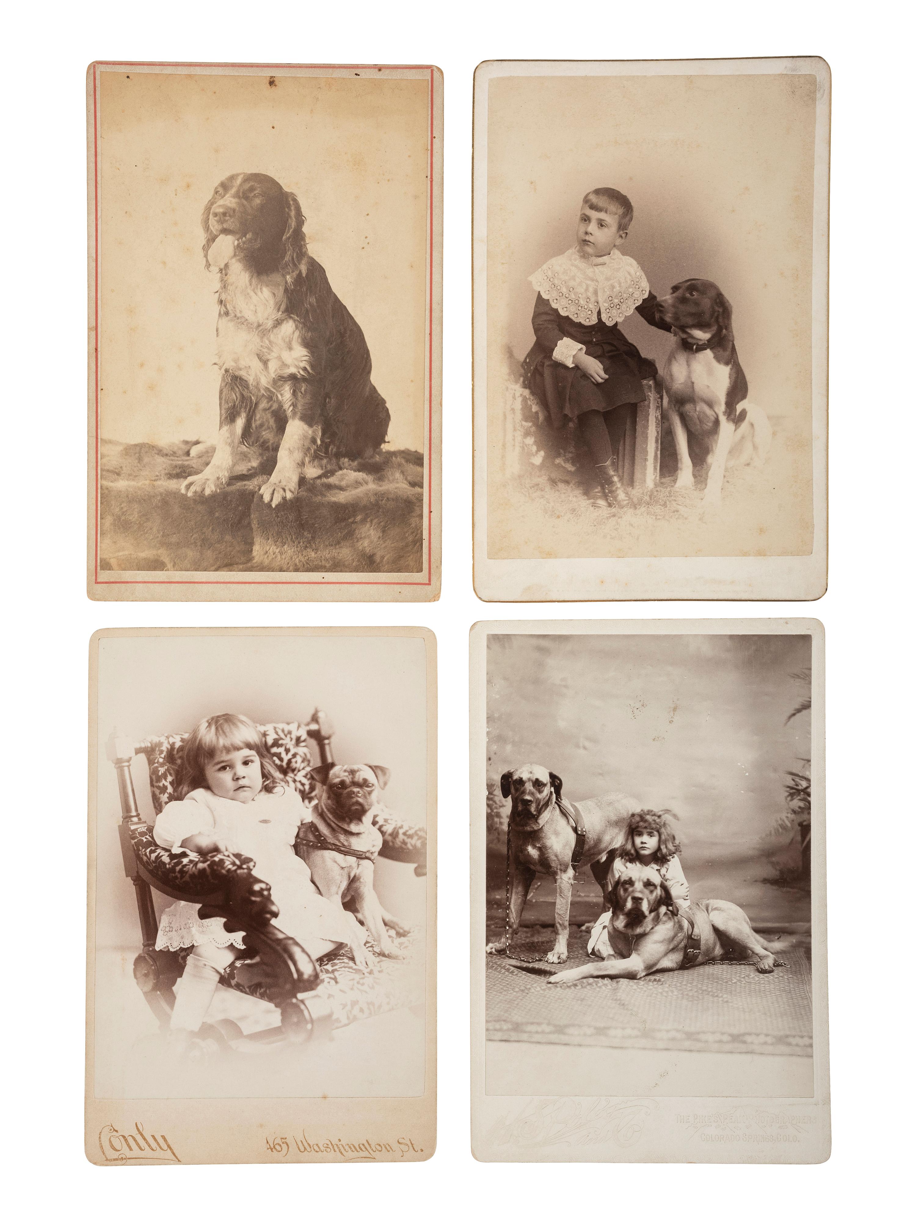 [EARLY PHOTOGRAPHY - ANIMALS]. An assorted group of 12 portraits featuring dogs and cats.