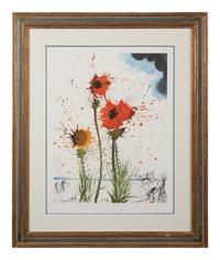 Spring Explosive