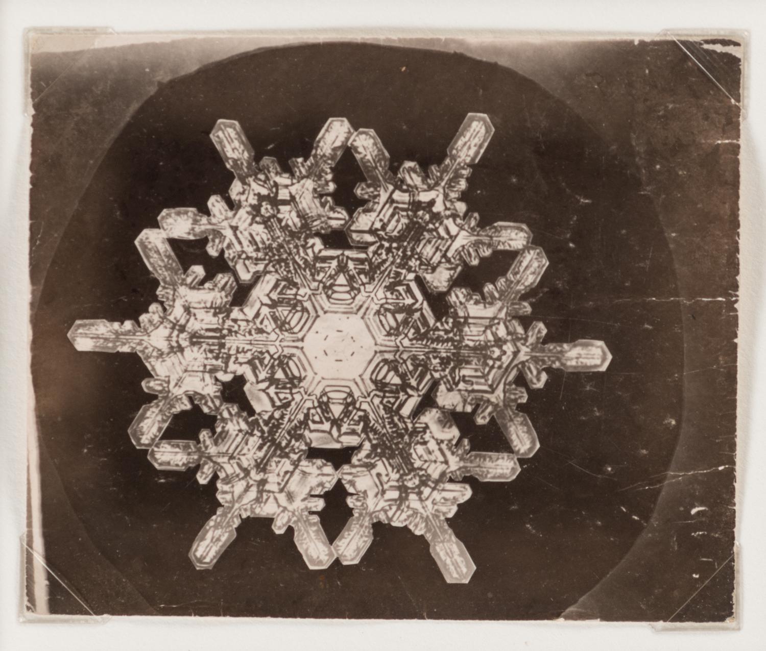 Snowflake , 1885-1931
