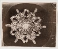 Snowflake , 1885-1931