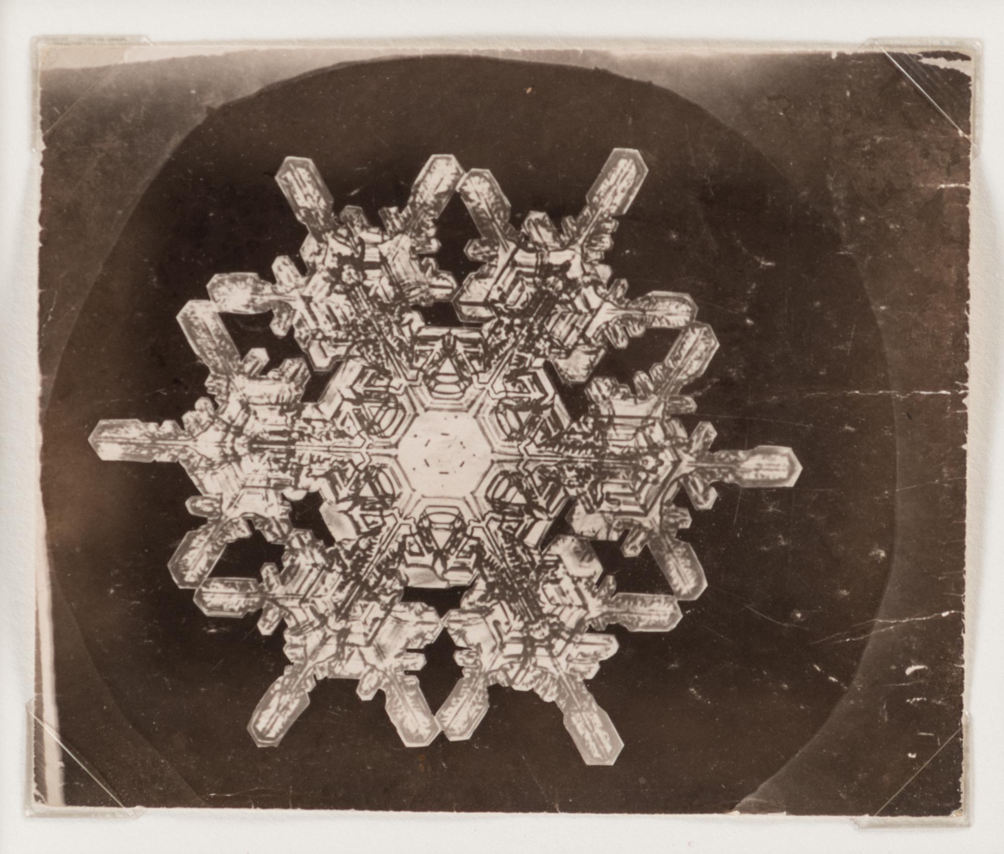 Snowflake , 1885-1931