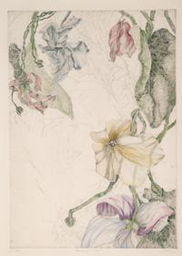 Hanging Garden