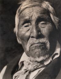Old Bob Nootka