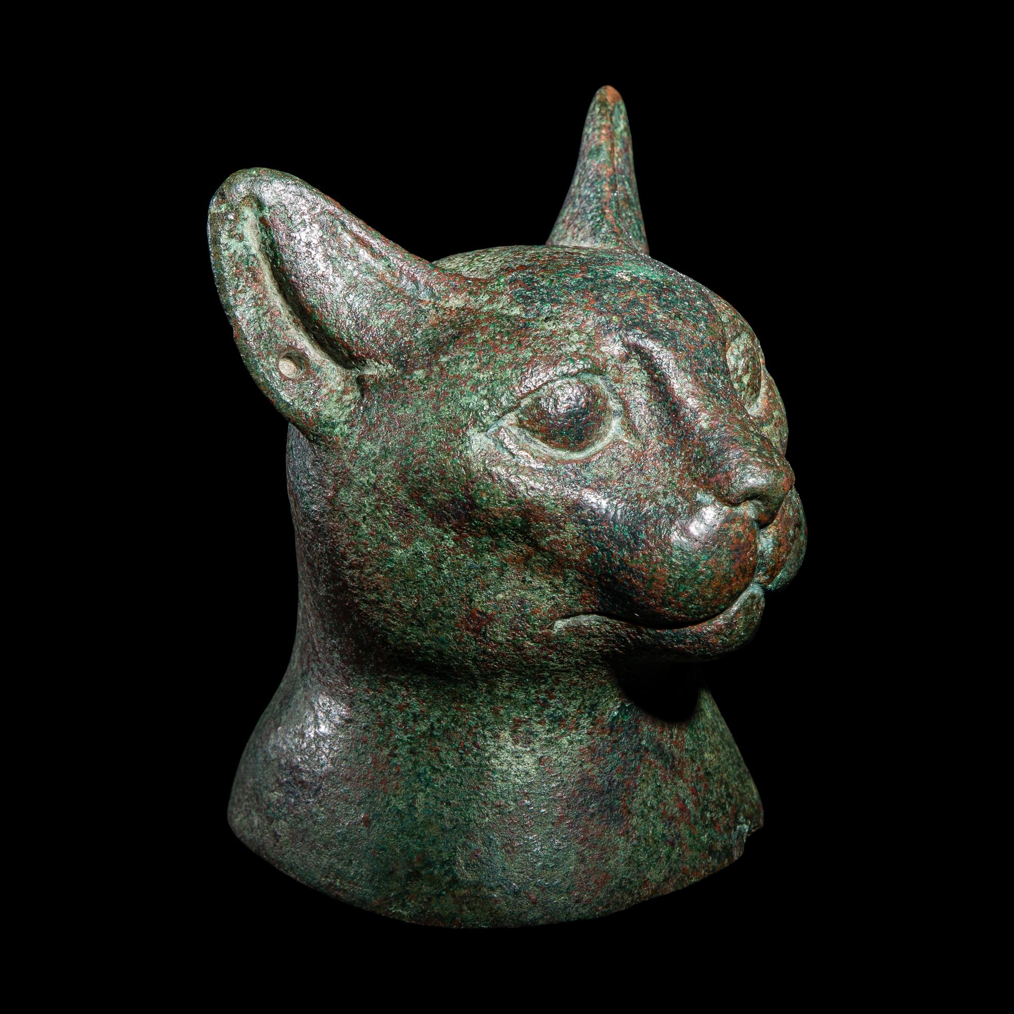 An Egyptian Bronze Bust of a Cat