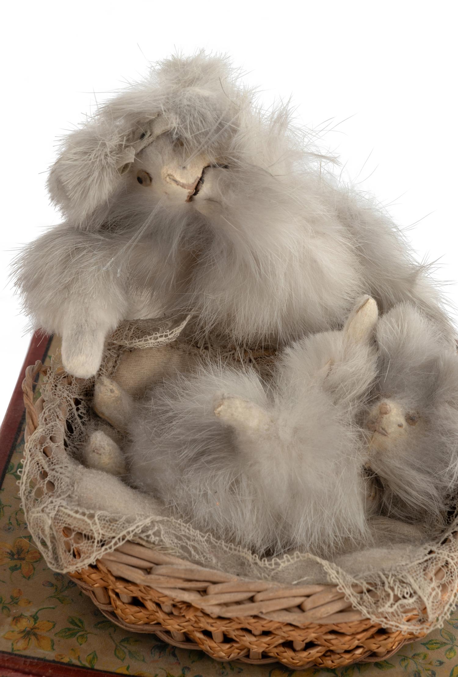 Two Manivelle Automata of Cats