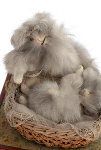 Two Manivelle Automata of Cats