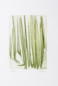 (HAASS, TERRY) WHITMAN, WALT. Leaves of Grass. New York, 1966. Limited, signed.