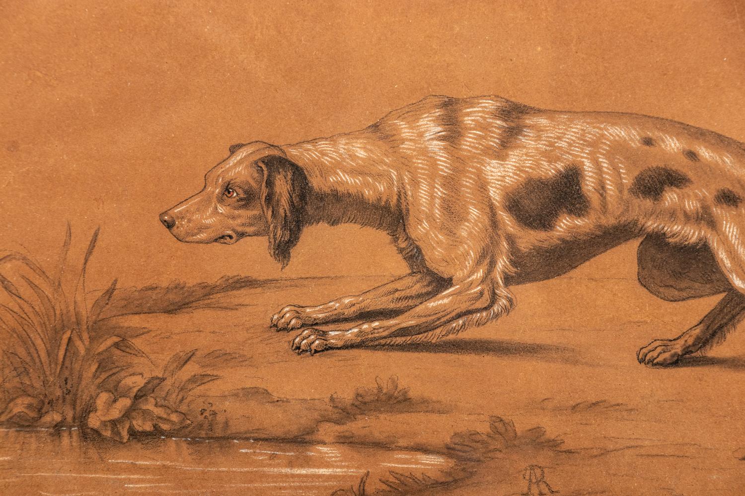 Hound