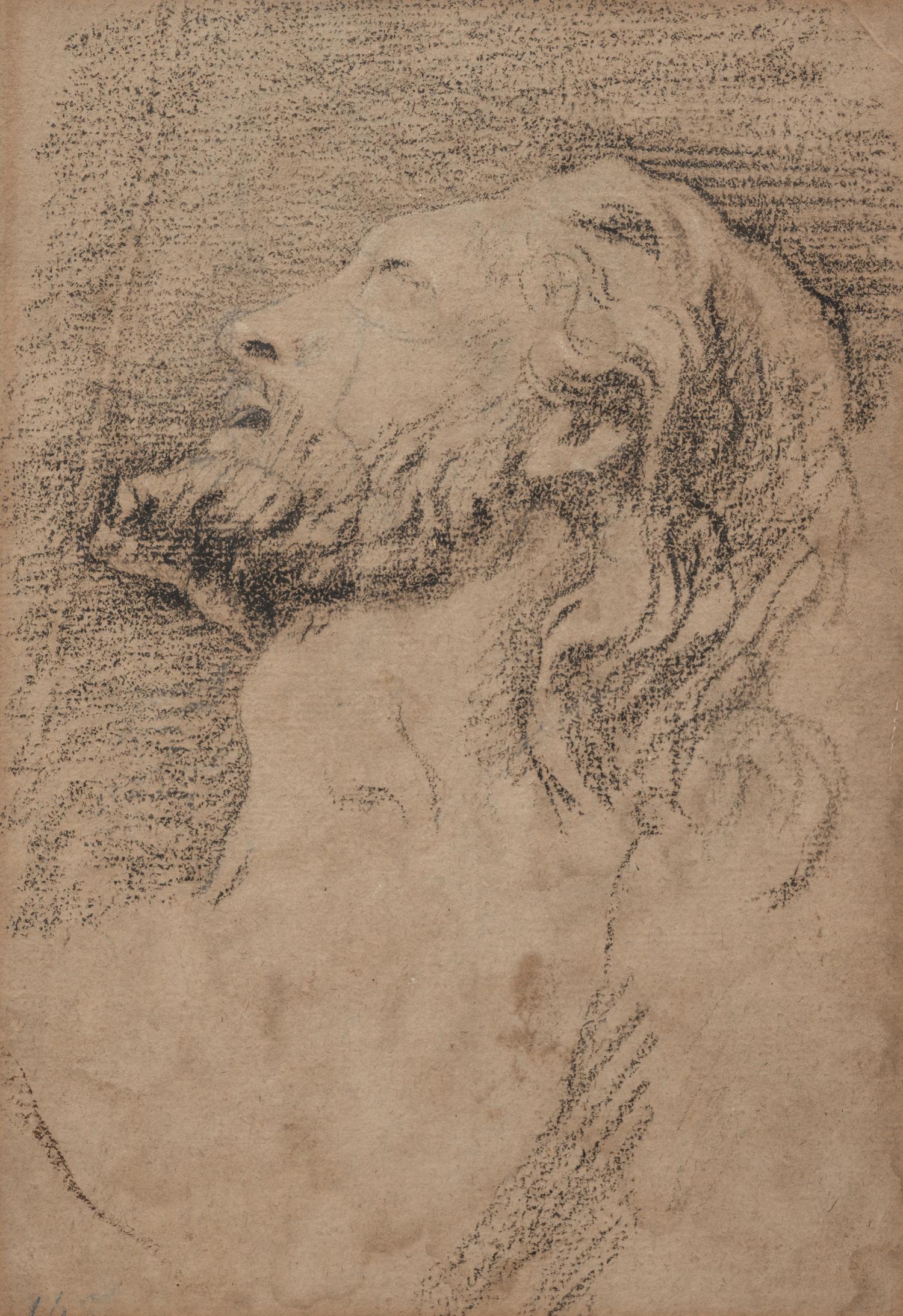 Artist Unknown (Italian School, 17th Century)