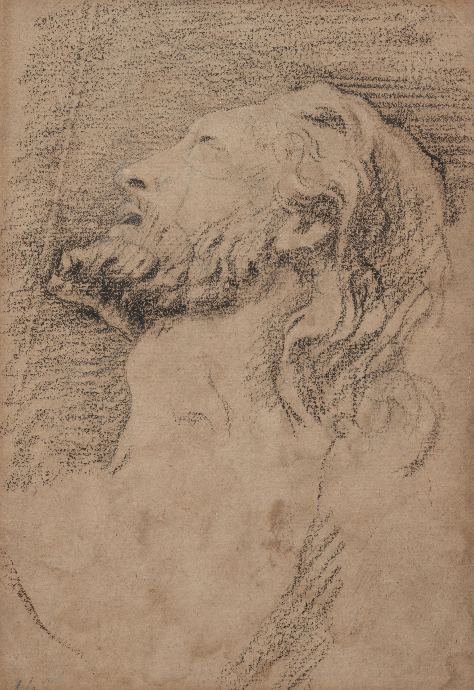 Artist Unknown (Italian School, 17th Century)