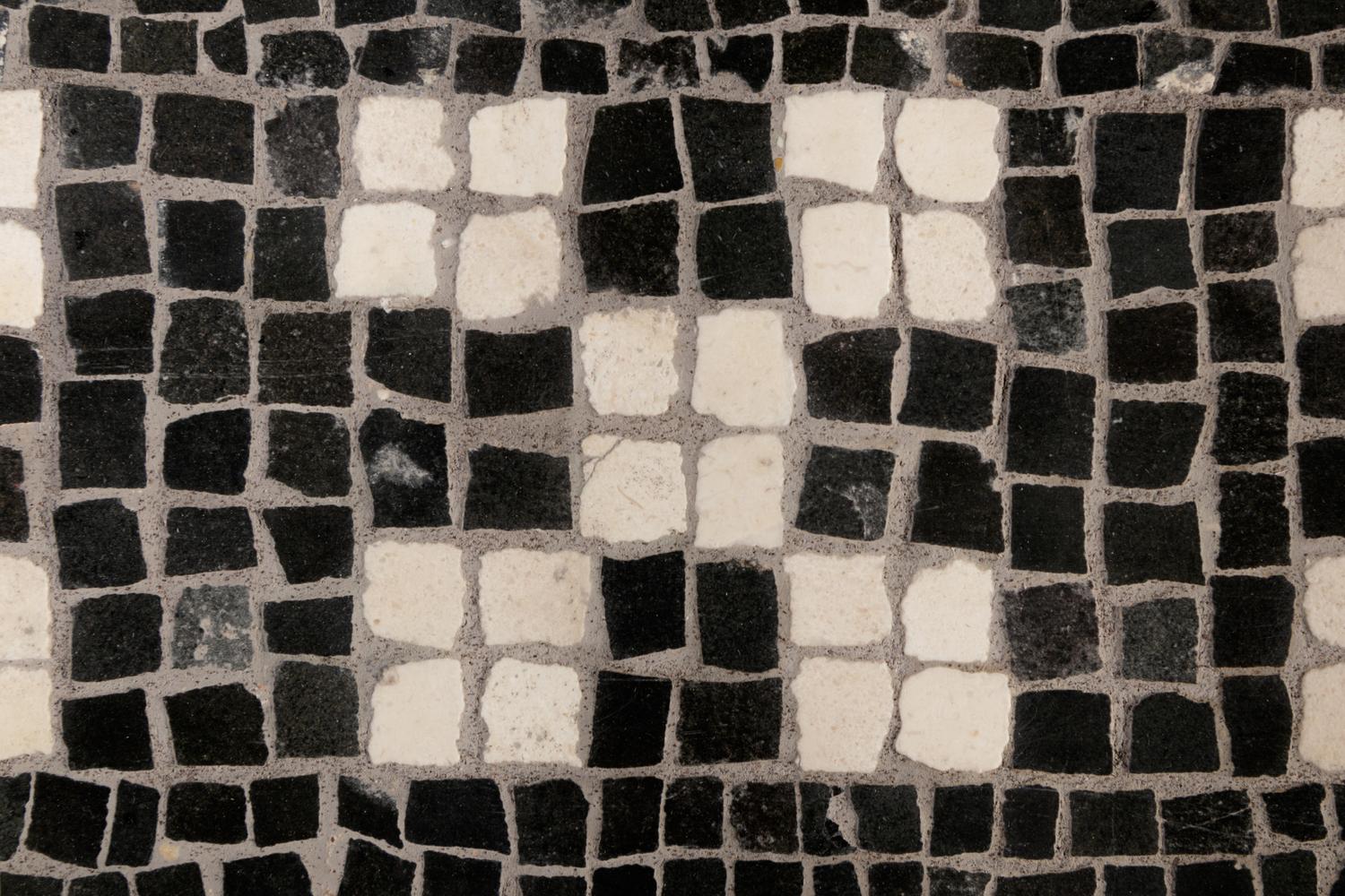 A Roman Mosaic Fragment Panel