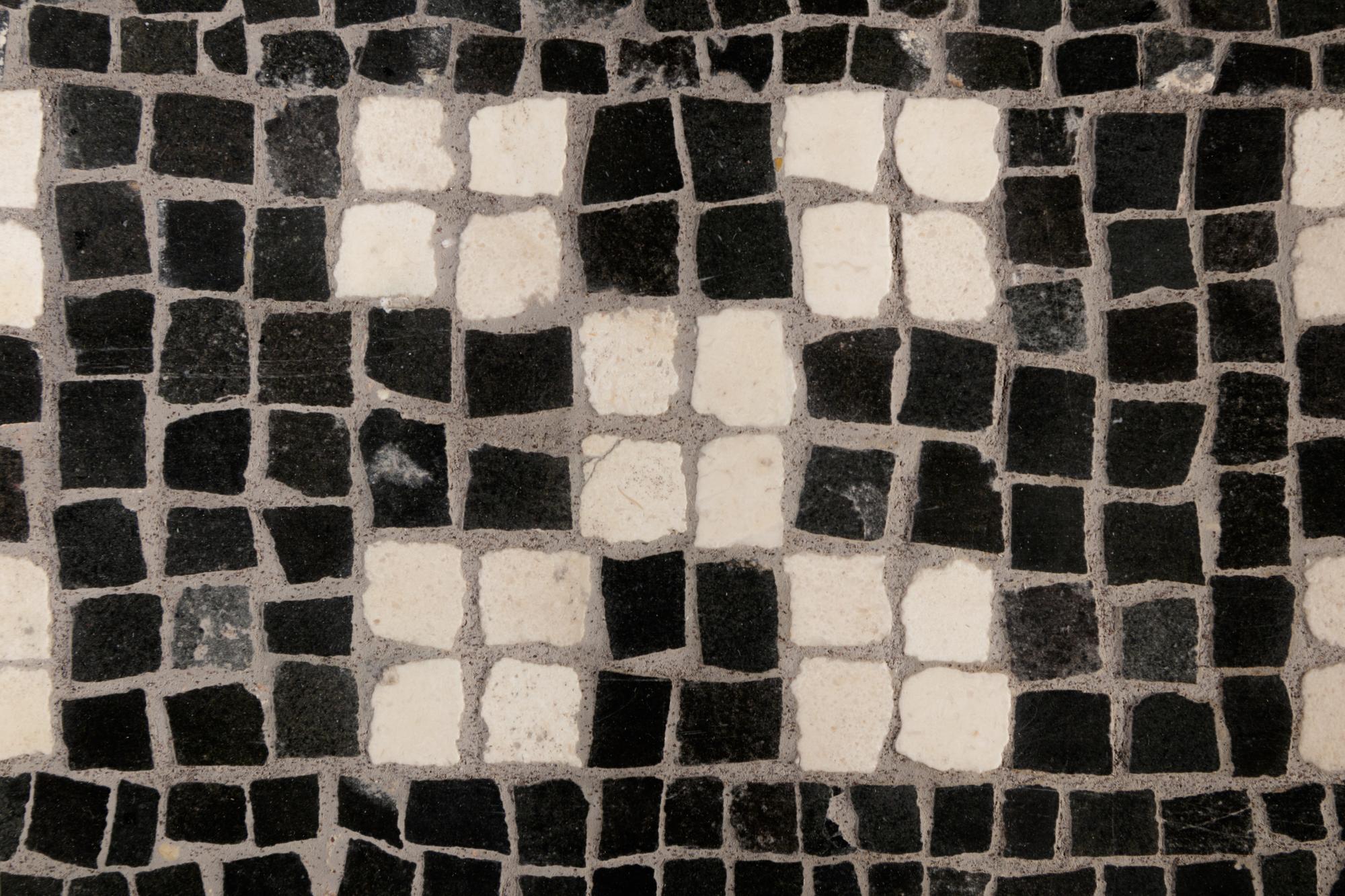 A Roman Mosaic Fragment Panel