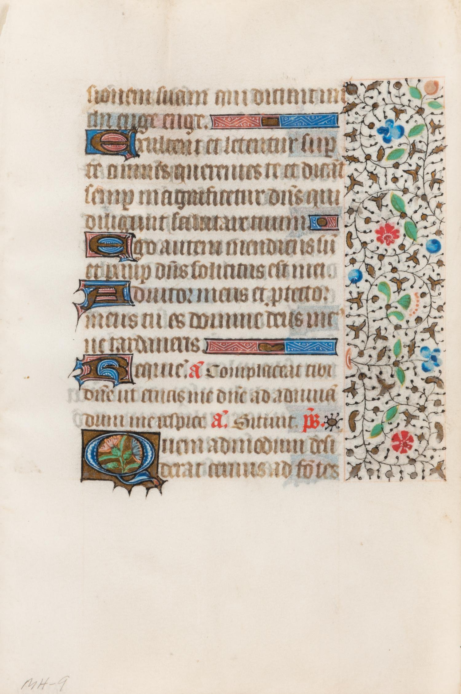 A Group of Book of Hours Leaves on Vellum