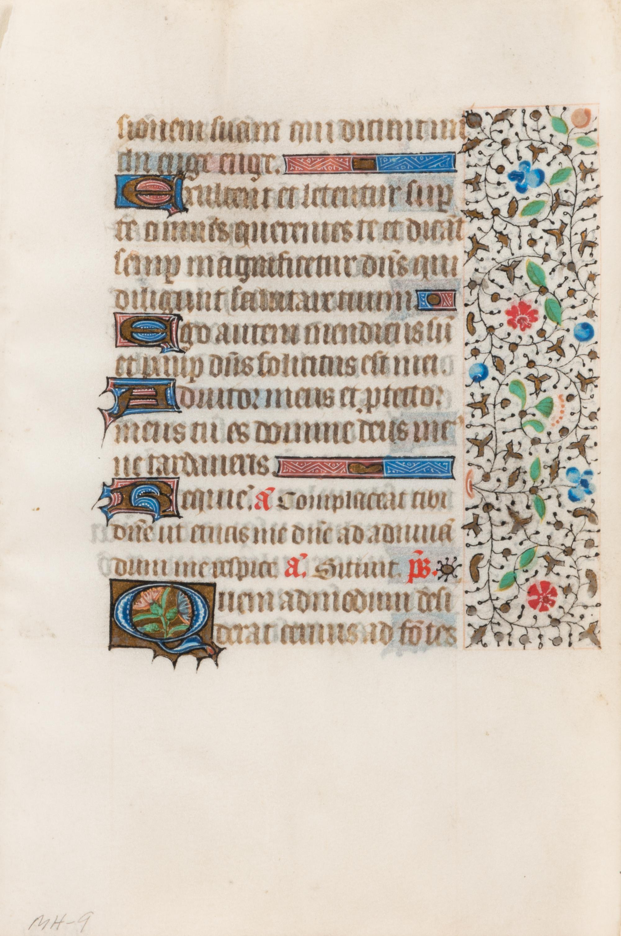 A Group of Book of Hours Leaves on Vellum