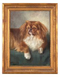 Pekingese, 1917
