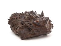 A Carved Burlwood Creature Length 6 3/4 inches.