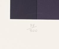 Zonau II ( diptych), 1989