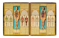 A Group of Medical and Anatomical Related Material Including a Case of Dental Molds