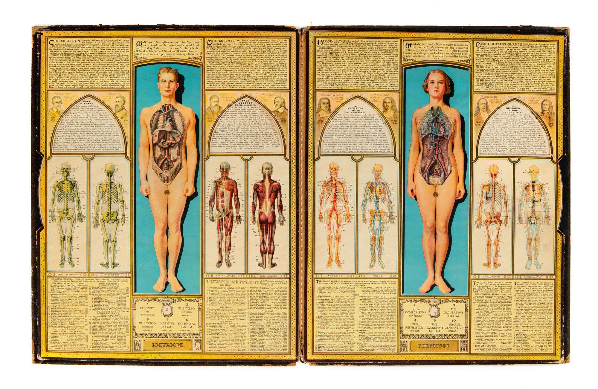 A Group of Medical and Anatomical Related Material Including a Case of Dental Molds