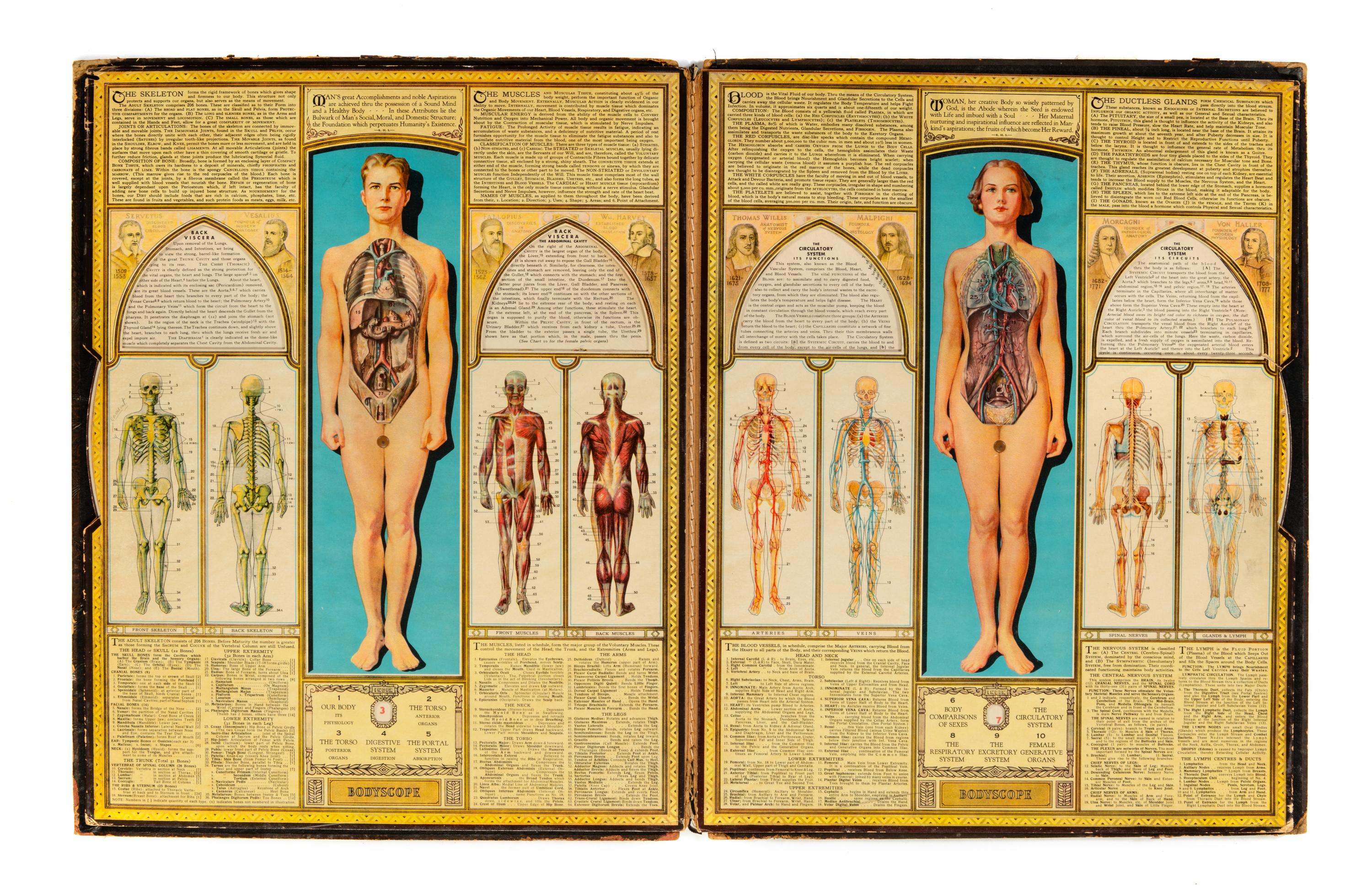 A Group of Medical and Anatomical Related Material Including a Case of Dental Molds