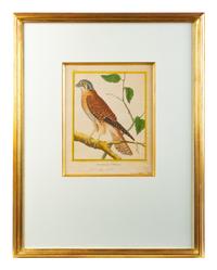 A Set of Four Hand-Colored Engravings After Francois Martinet — 18TH CENTURY