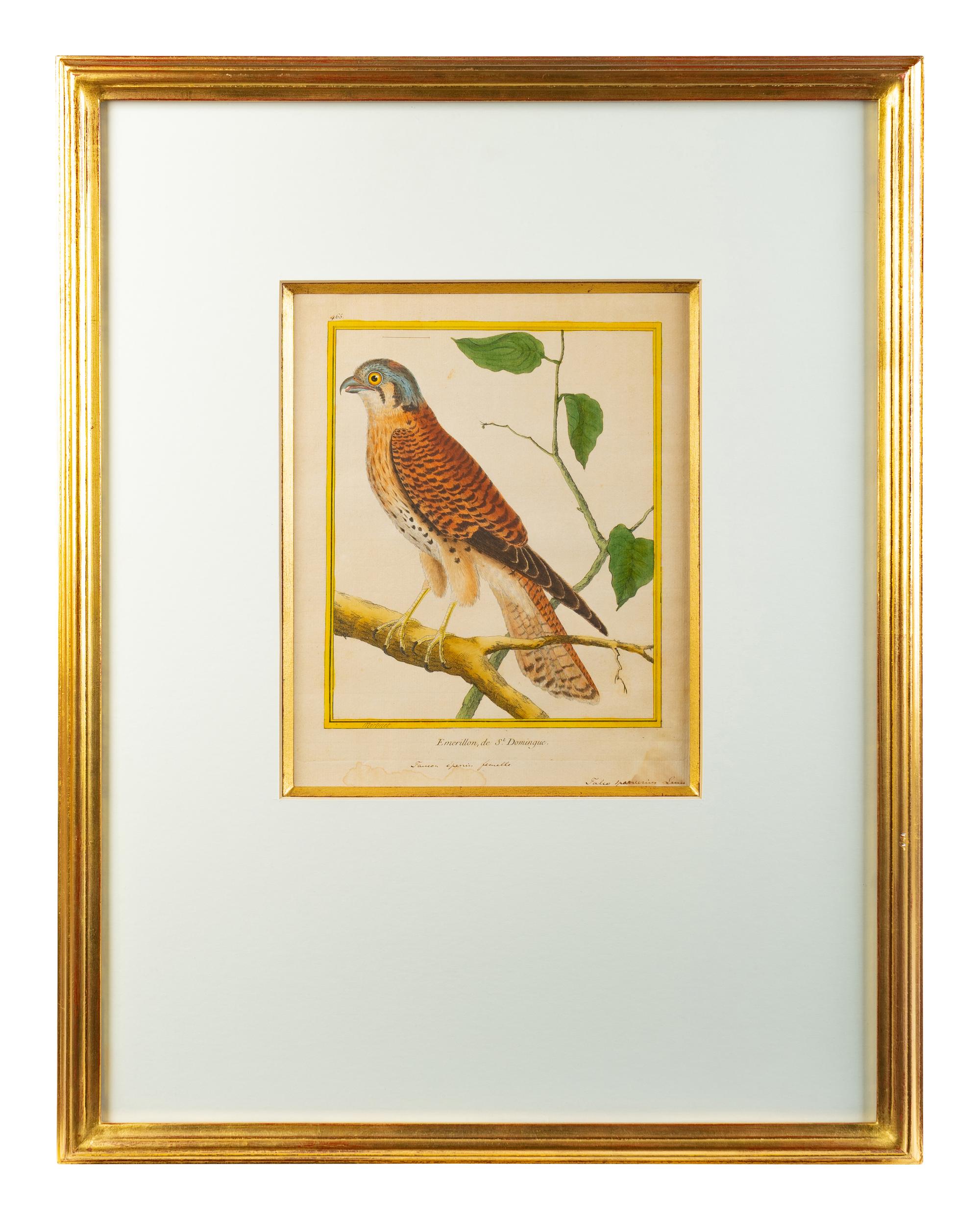A Set of Four Hand-Colored Engravings After Francois Martinet — 18TH CENTURY