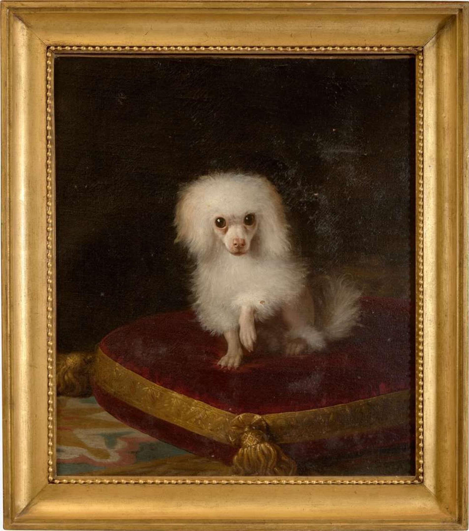 British School (19th Century) - Pomeranian on a Red Cushion