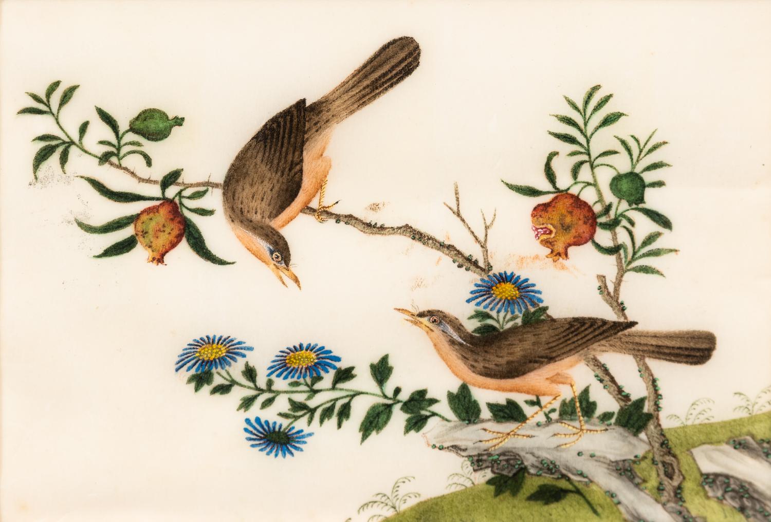 A Collection of Twelve Chinese Export Pith Paintings
