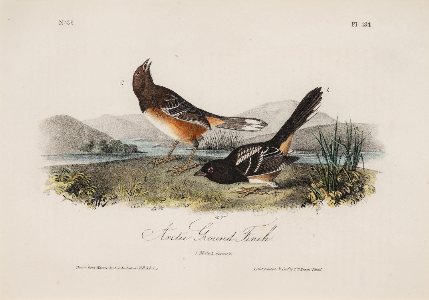 AUDUBON, John James (1785-1852) et al, after A group of 10 octavo-format prints, comprising: