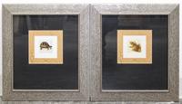 A Pair of Prints Depicting a Tortoise and a Frog Height of frames 18 x width 16 inches. — 20TH CENTURY