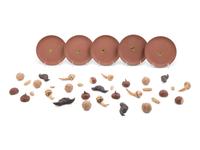Three Chinese Yixing Pottery Models of Fruits and Undertrays