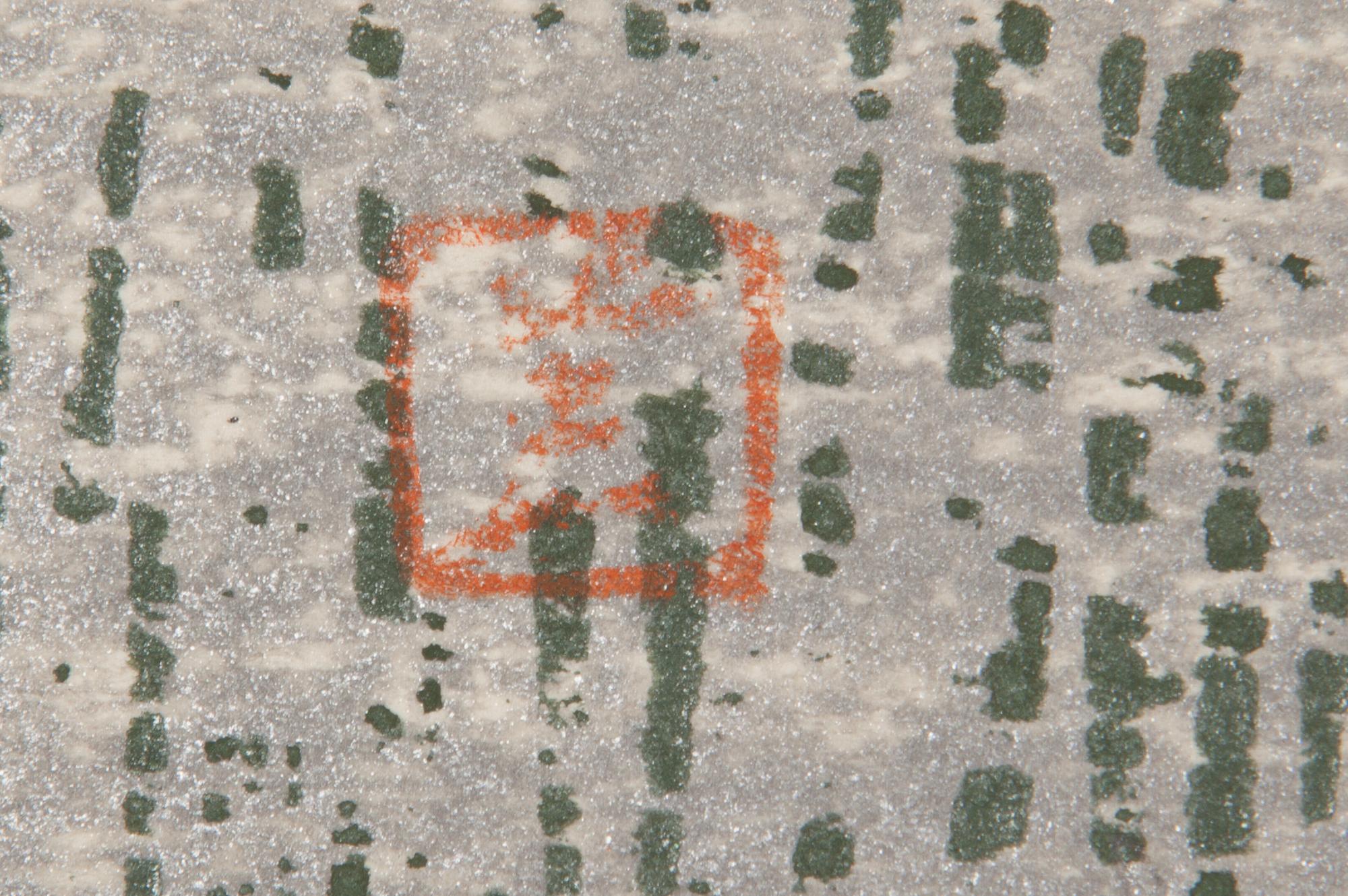 Kauro Kawano