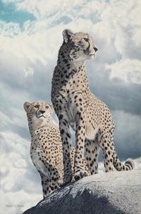 Feline Watch, 1996